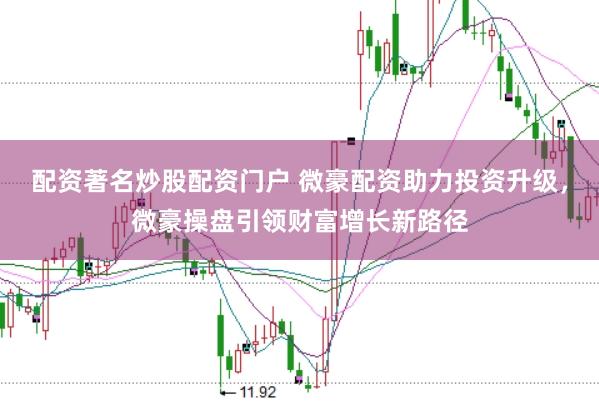 配资著名炒股配资门户 微豪配资助力投资升级，微豪操盘引领财富增长新路径