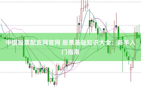 中国股票配资网官网 股票基础知识大全：新手入门指南