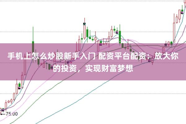 手机上怎么炒股新手入门 配资平台配资：放大你的投资，实现财富梦想
