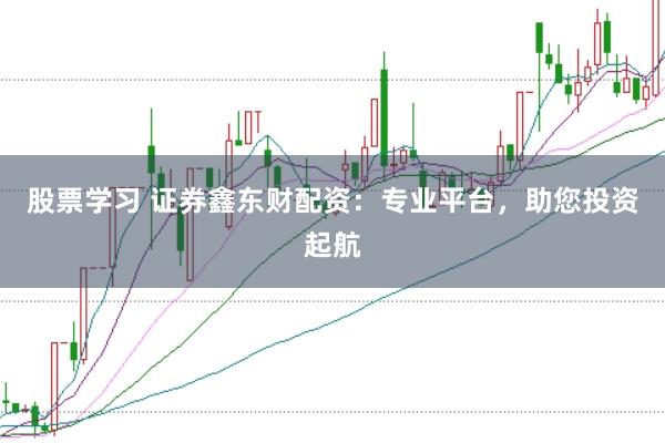 股票学习 证券鑫东财配资：专业平台，助您投资起航