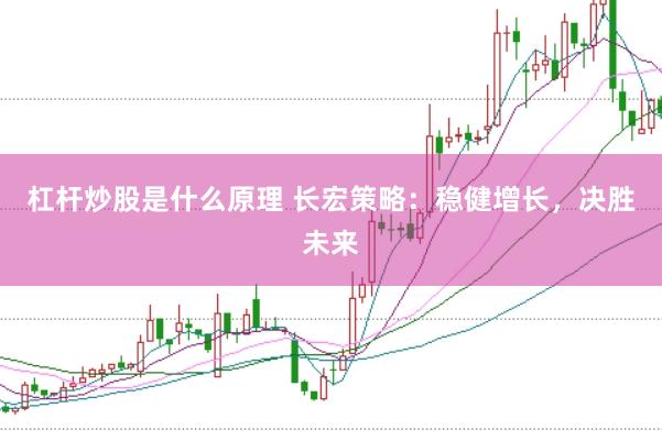 杠杆炒股是什么原理 长宏策略：稳健增长，决胜未来