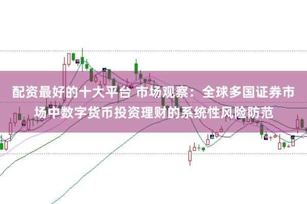 配资最好的十大平台 市场观察：全球多国证券市场中数字货币投资理财的系统性风险防范